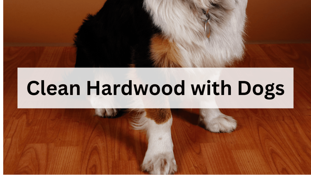 Clean Hardwood with Dogs