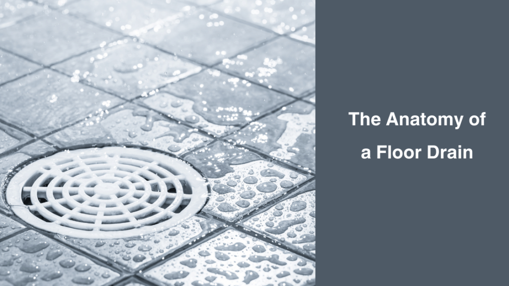 The Anatomy of a Floor Drain