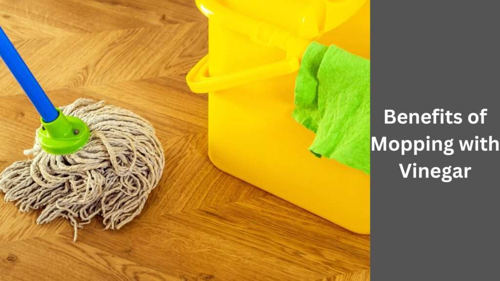 Benefits of Mopping with Vinegar